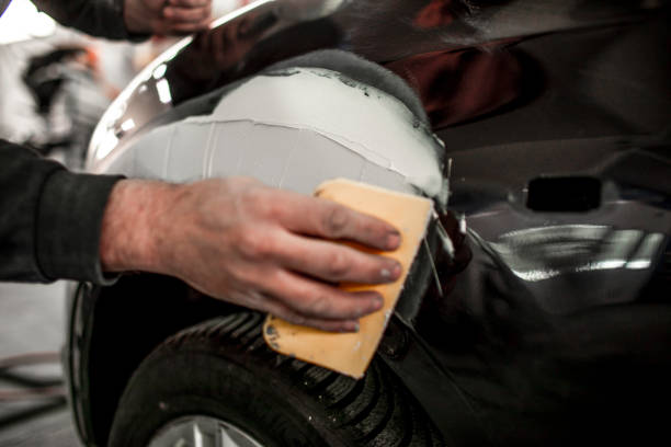 Professional Mold Removal in Williamsville, NY