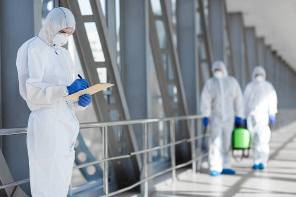 Best Post-Remediation Verification Testing  in Williamsville, NY
