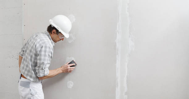 Best Comprehensive Air Testing for Mold Contaminants  in Williamsville, NY