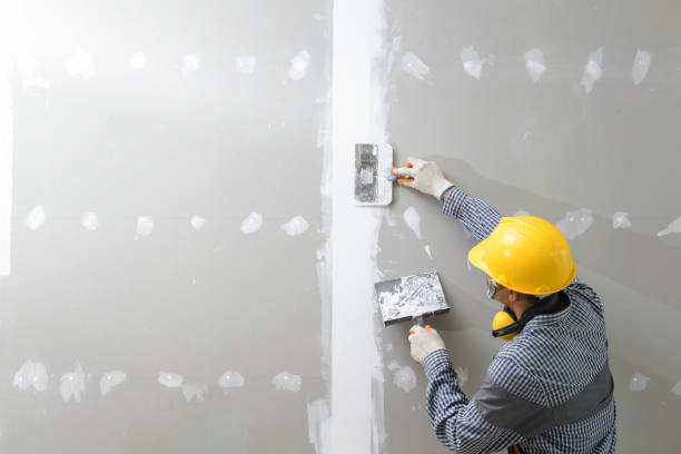 Best Basement Mold Removal  in Williamsville, NY
