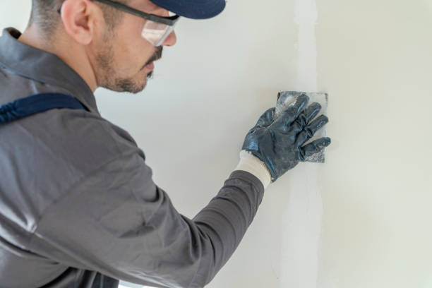 Best Mold-Related Health Consultation  in Williamsville, NY