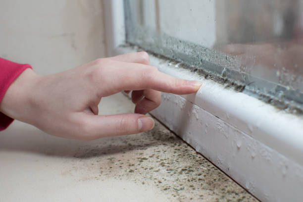 Best Indoor Air Quality Assessment  in Williamsville, NY