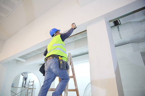 Best Industrial Mold Remediation  in Williamsville, NY