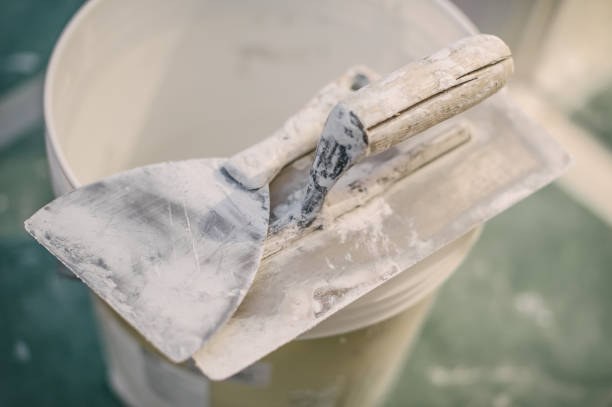 Best Real Estate Mold Inspection  in Williamsville, NY