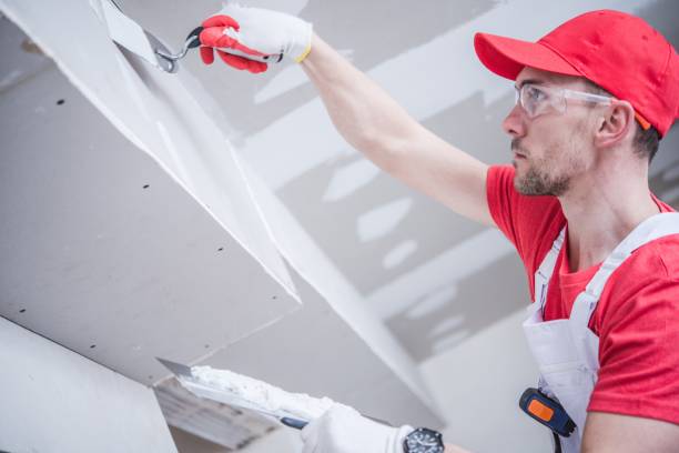 Best Black Mold Removal  in Williamsville, NY